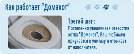 Hogyan kell tanítani egy macska, egy macska vagy cica wc, hozzászoktatni háziállat a WC