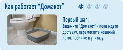 Як привчити кішку, кота чи кошеня до туалету, привчаємо домашніх тварин до унітазу