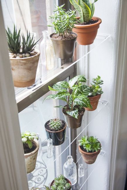 Cum să plasați mai multe plante interioare pe un pervaz
