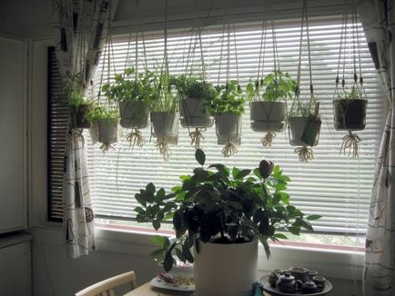Як розмістити побільше кімнатних рослин на підвіконні