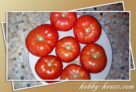 Як врятувати плоди помідор від фітофтори якщо кущ вже чорніє