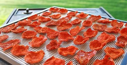 Як сушити помідори в електросушарці як зберігати сушені помідори