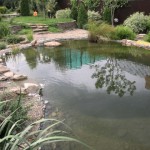 Как да се геотекстил за езерце