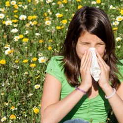 Як зменшити прояви алергії - скальпель - медичний інформаційно-освітній портал