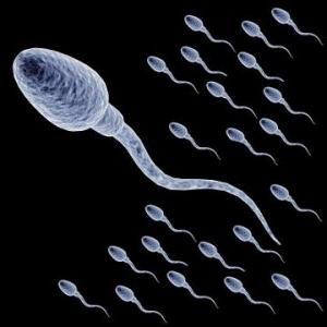 Cum de a crește cantitatea de spermă