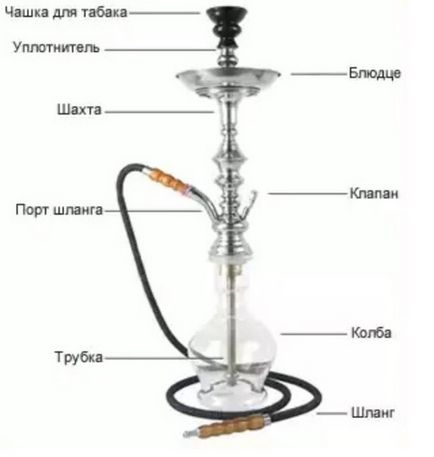 Hogyan válasszuk ki a vízipipa (hogyan válasszuk ki a vízipipa) Hogyan válasszuk ki a vízipipa