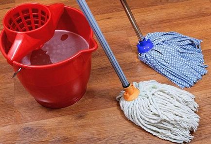 Cum de a alege un mop pentru spălarea podelei