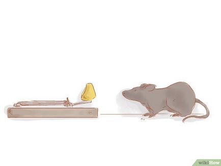 Modul în care șoarecele mouse-ului arată în fotografie