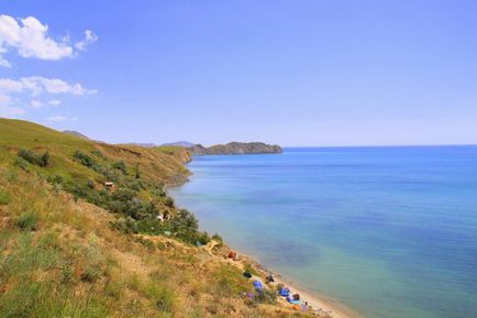 Як вимочити солону оселедець, зроби все сам