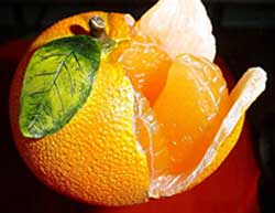 Як виростити апельсин будинку, з кісточок; домашній апельсин правильний догляд і полив