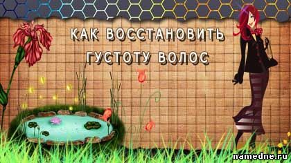 Як відновити густоту волосся - різні - лікування хвороб - народні рецепти - namedne -