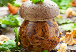 Hogyan befagyasztja a gombát a téli megfelelő és ízletes gomba helyszínen