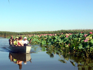 Turul Kalmykia - lagan, excursii la Kalmykia