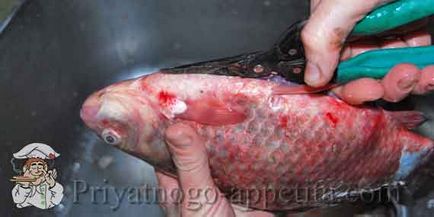 Karp egy serpenyőben (ponty) Carp egy serpenyőben
