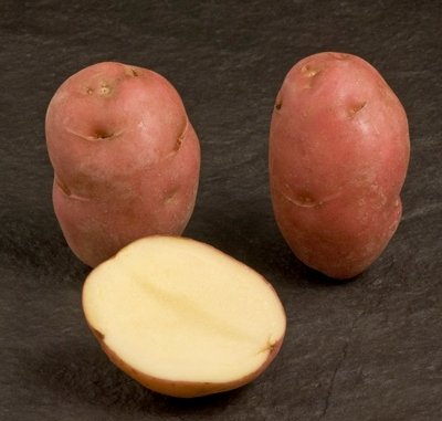 Cartofi descrierea cardinală a soiului, fotografie, caracteristică