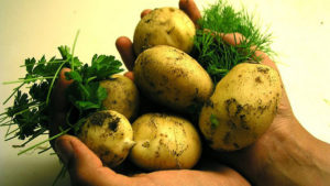 Картопляне пюре по-ірландськи - покроковий рецепт з фото