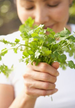 Beneficiile cilantro-parfumate