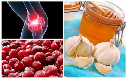 Cranberry, miere și usturoi pentru articulații proprietăți utile și tratament