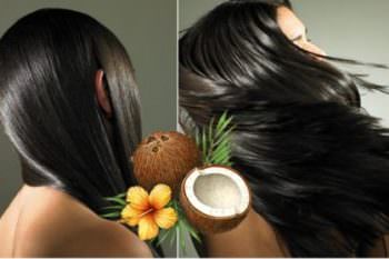 Ulei de nucă de cocos pentru puncte de păr importante de utilizare corespunzătoare, sfaturi de experți și feedback