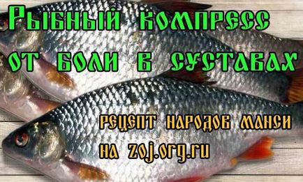 Borogatást folyami hal ízületi - recept népek manysi, otthoni kezelés