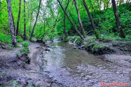 Коробковское сад - прогулянки по москві, прогулянки