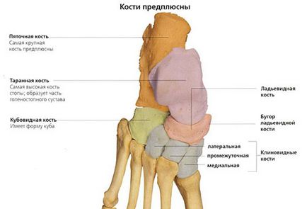 Кістки стопи симптоми і ознаки при переломі