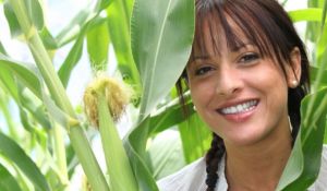 Kukorica selyem fogyókúra előnyeit, alkalmazási vélemények