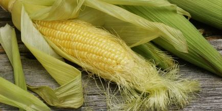 Kukorica selyem fogyókúra előnyeit, alkalmazási vélemények