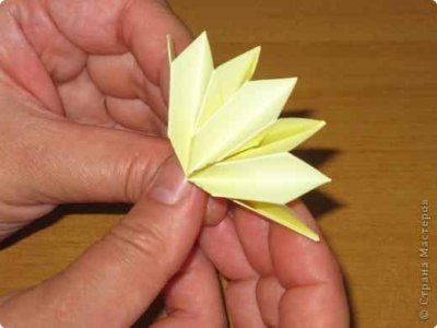 Kusudama - gălbenele - clasă de master cu o fotografie