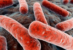 Kvantiferonovy teszt tuberculosis in vitro mi ez, és hogyan kell elvégezni