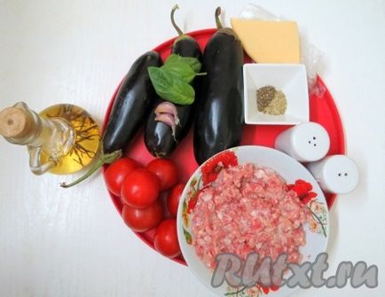 Lasagne din vinete cu carne tocată - rețetă cu fotografie