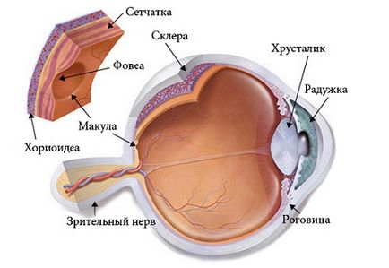 Лікування дистрофії сітківки консервативним і хірургічним шляхом