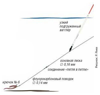 Ловля окуня на маленькій річці