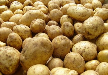 Cele mai bune soiuri de cartof pentru cultivarea pe teren propriu