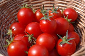 Кращі сорти томатів на 2017 рік