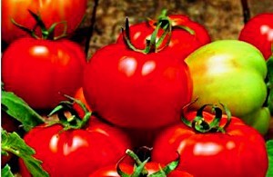 Кращі сорти томатів на 2017 рік