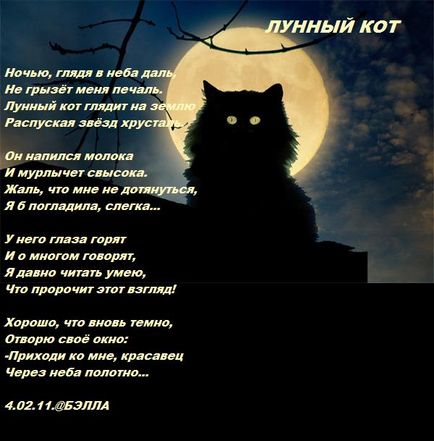 Pisici lunare - versuri și proză din Rusia