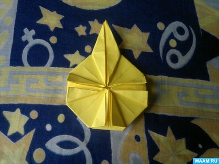 Master-clasa în tehnica de origami pentru adulți 