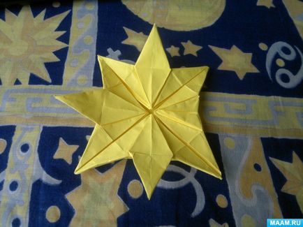 Master-clasa în tehnica de origami pentru adulți 