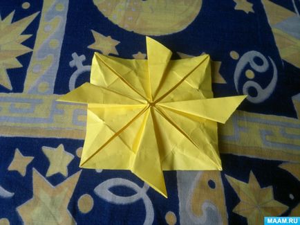 A mester osztály a művészet origami felnőtteknek „V”