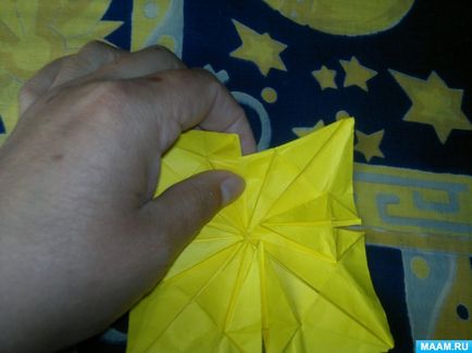 Master-clasa în tehnica de origami pentru adulți 