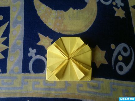 Master-clasa în tehnica de origami pentru adulți 