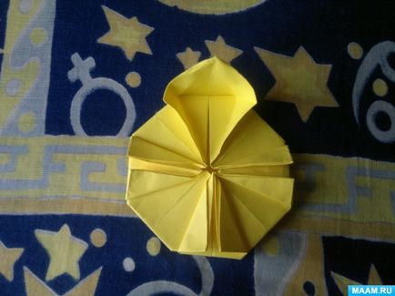 Master-clasa în tehnica de origami pentru adulți 