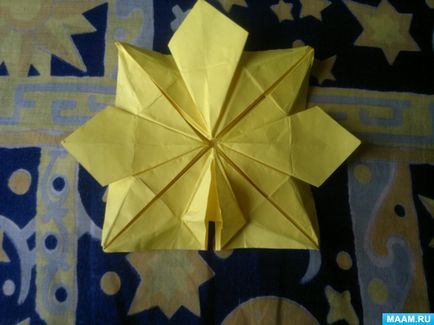 Master-clasa în tehnica de origami pentru adulți 