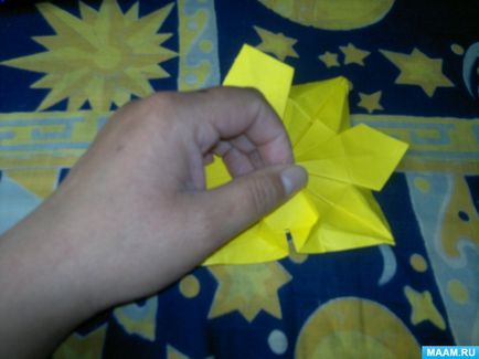 Master-clasa în tehnica de origami pentru adulți 