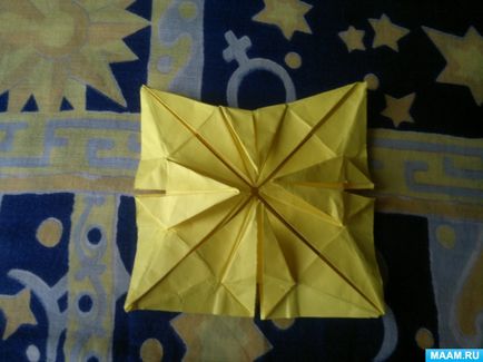 Master-clasa în tehnica de origami pentru adulți 