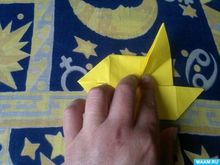 Master-clasa în tehnica de origami pentru adulți 