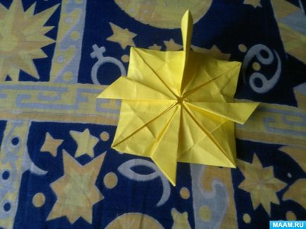 Master-clasa în tehnica de origami pentru adulți 