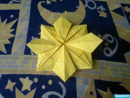 A mester osztály a művészet origami felnőtteknek „V”