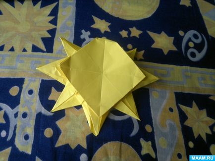 Master-clasa în tehnica de origami pentru adulți 